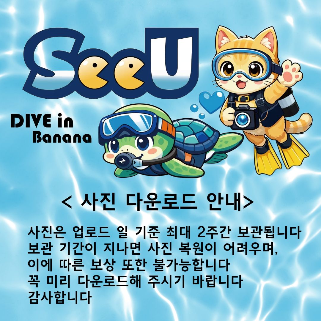 SeeU Dive 샵 공간 사진 4